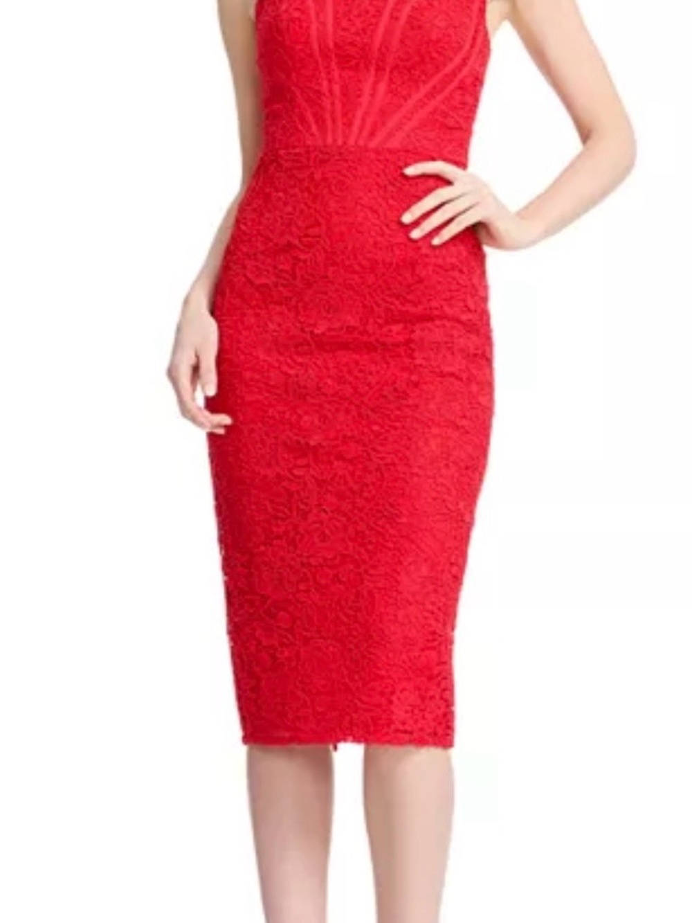 Dress the Population
Cosette Floral Lace Midi Dress Size - M